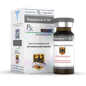 Testosterone E 250 Odin Pharmaceuticals