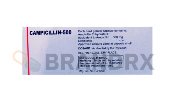 Campicillin 500 mg Cadila Pharmaceuticals Ltd. - Imagen 2