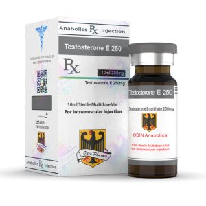 Testosterone Enanthate Odin Pharma 10ml Odin Pharmaceuticals